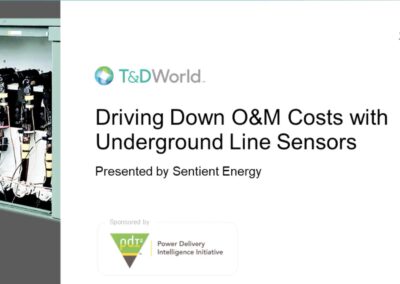 Driving Down O&M Costs with Underground Line Sensors Webinar